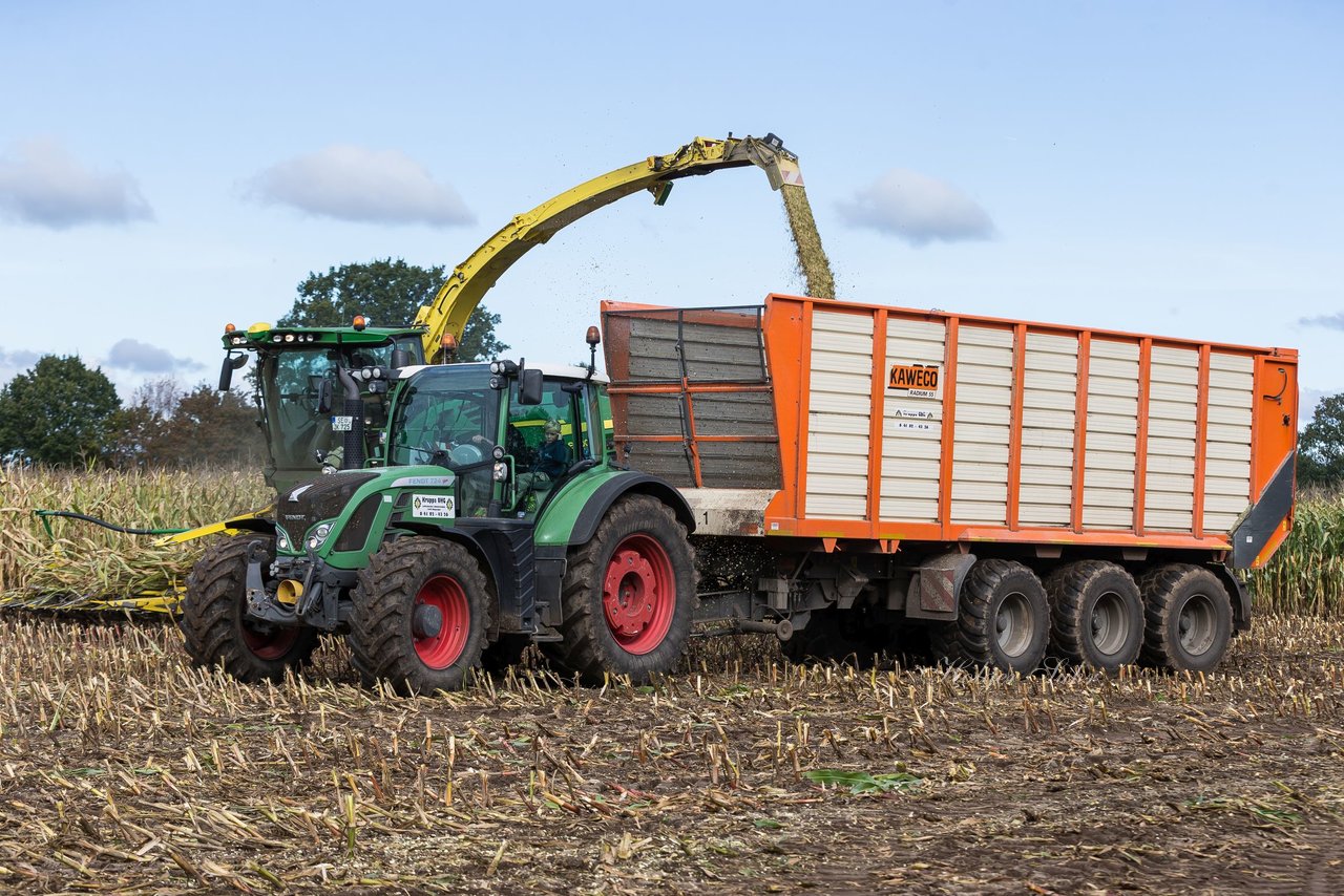 Bild 132 - Maisernte